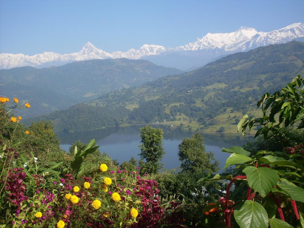 Dinesh House Bed & Breakfast Pokhara Exterior photo