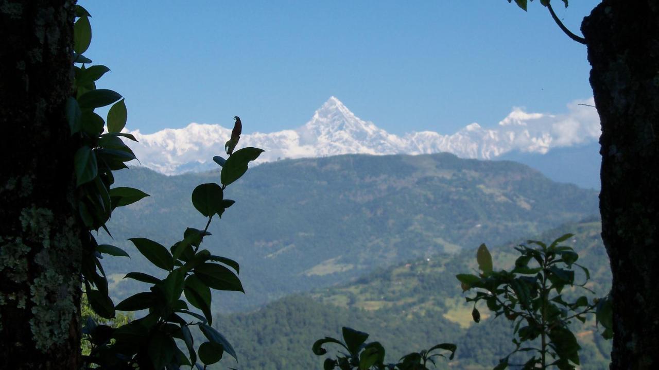 Dinesh House Bed & Breakfast Pokhara Exterior photo